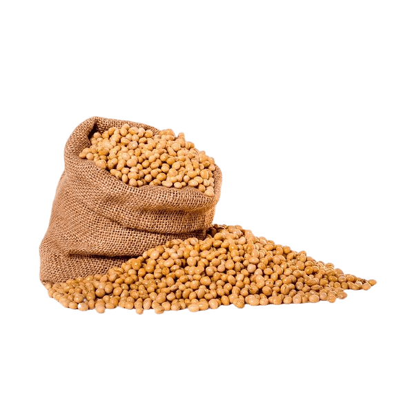 Soyabean